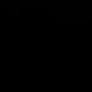 True Religion Black Denim Jeans